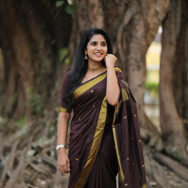 Buy Premium Fabrics Online – Handloom & Silk | Kaithari Nesavu