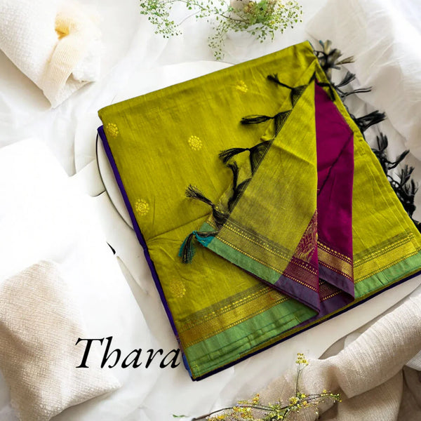 Green saree with purple and pink border on a white fabric background