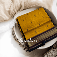 Sundari: Festival Finesse - Gold Zari Semi Handloom Pure Cotton - Kaithari Nesavu Sarees