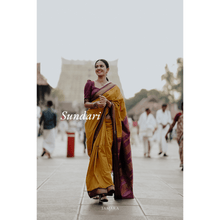 Sundari: Festival Finesse - Gold Zari Semi Handloom Pure Cotton - Kaithari Nesavu Sarees