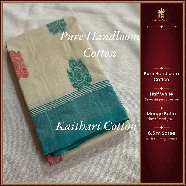Pure Handloom Cotton Saree with Sumathi Green Border and Mango Butta – Kaithari Nesavu